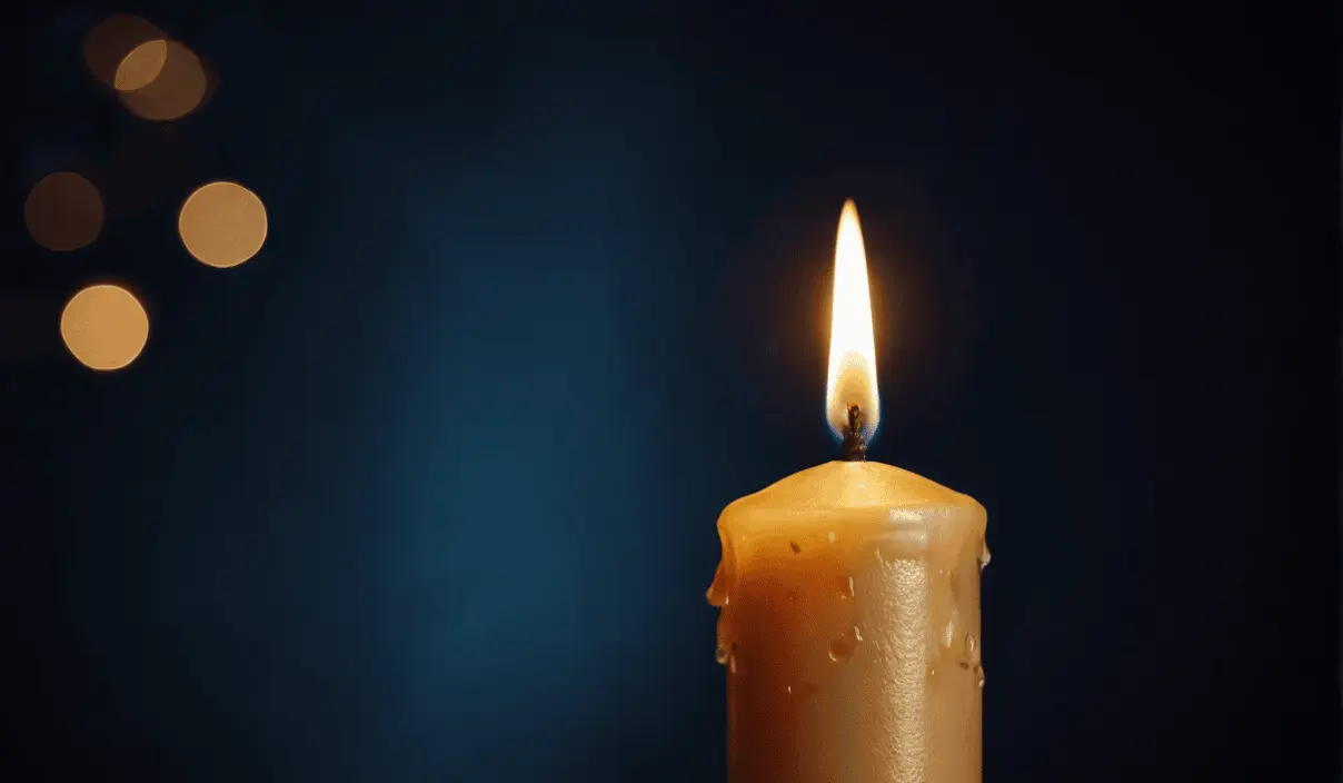 Lamele cena - ile kosztują?