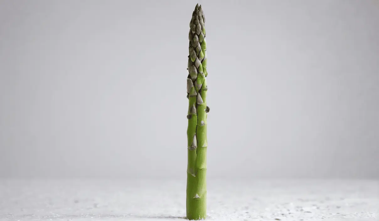 Jak pielęgnować asparagus?